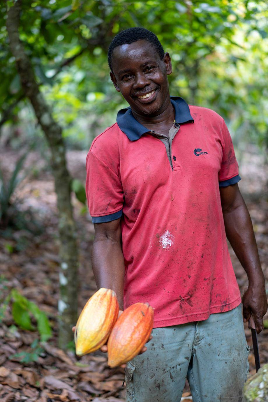 Cocoa farmer