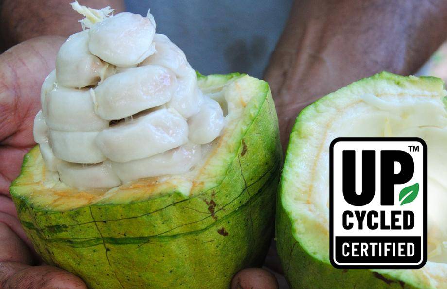 upcycled cacaofruit ingredients
