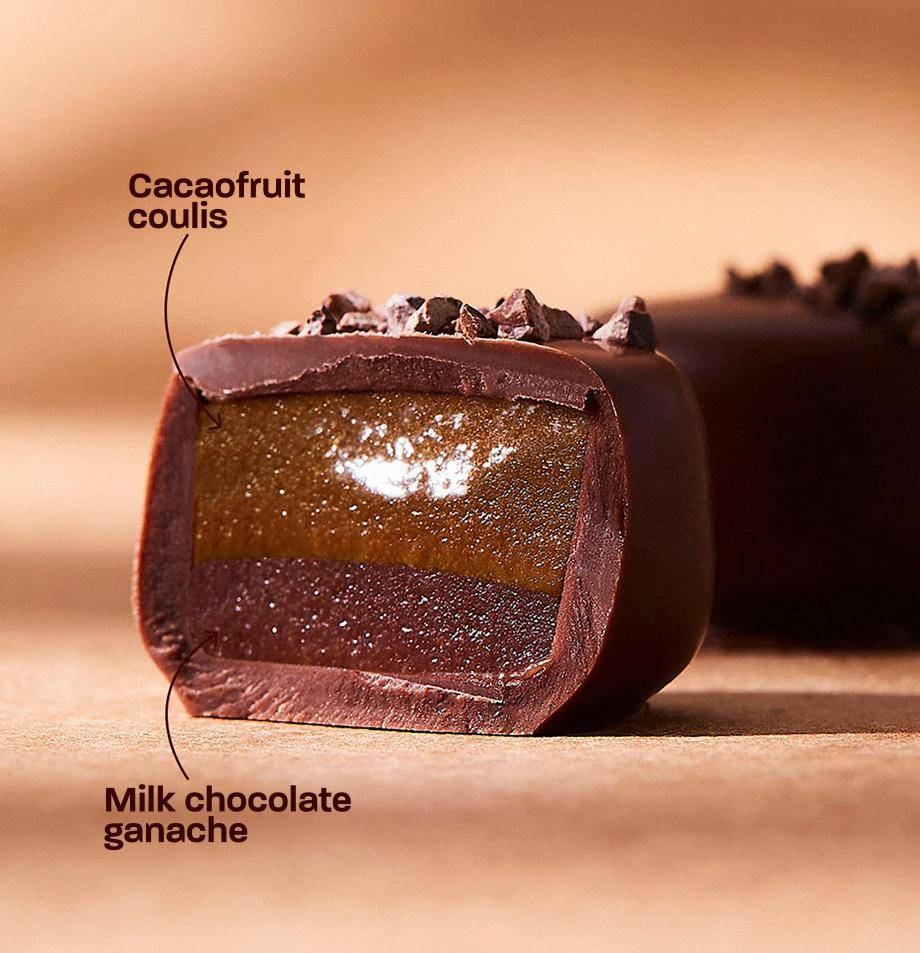 cacaofruit bonbon