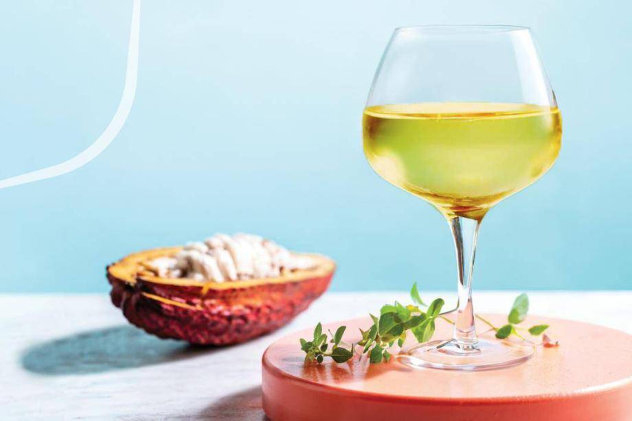 cacaofruit-cider-seltzer