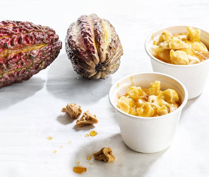 cacaofruit ice cream