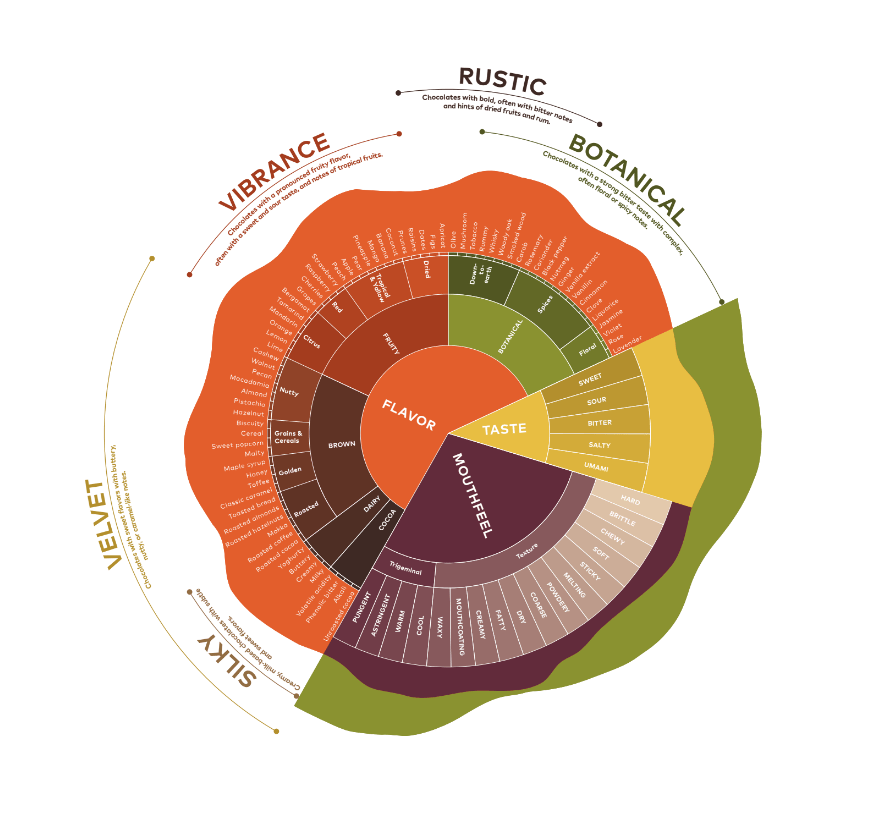 Chocolate taste wheel - Barry Callebaut
