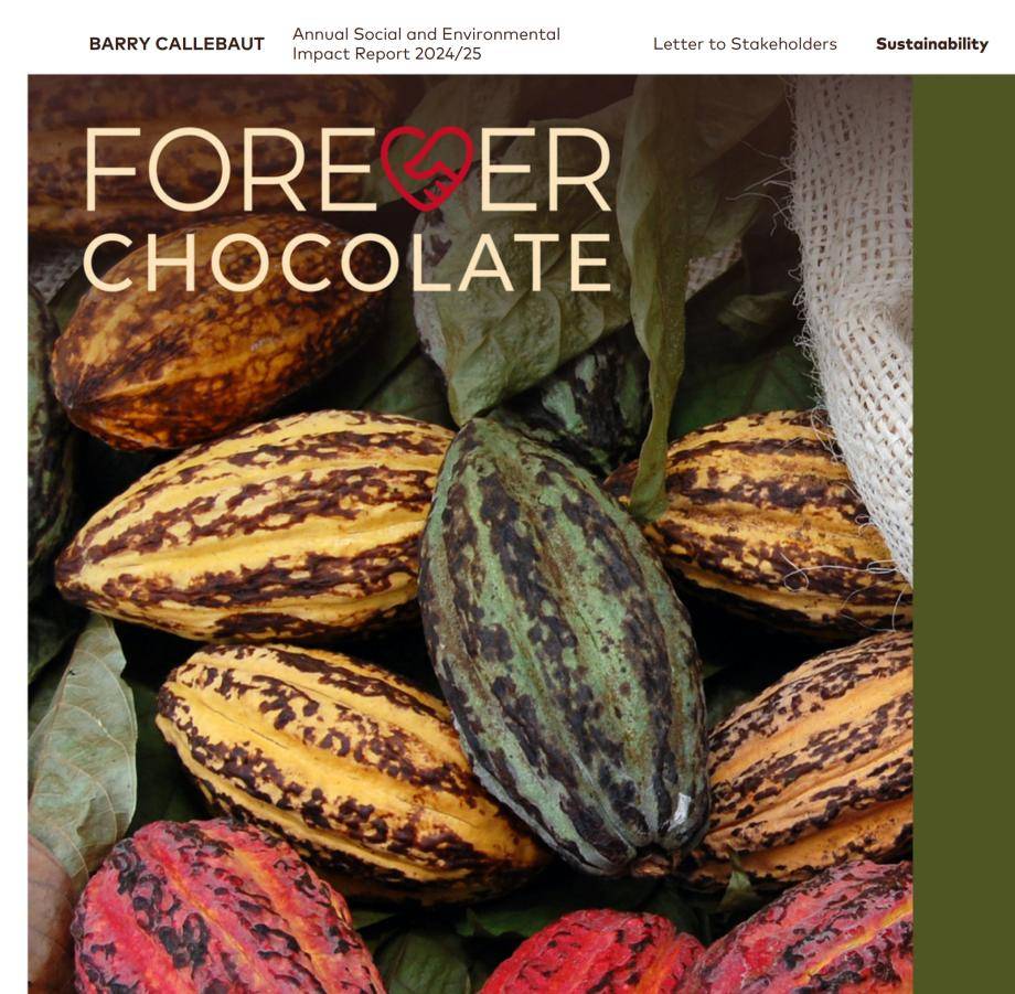 Forever Chocolate Progress Report 2025