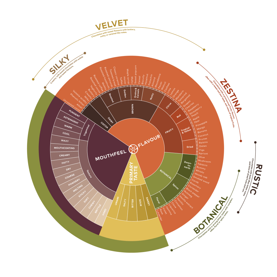 Chocolate taste wheel - Barry Callebaut