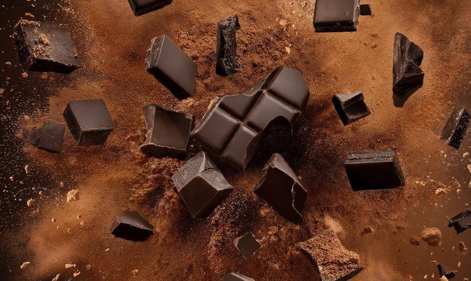 Callebaut Masters of Taste