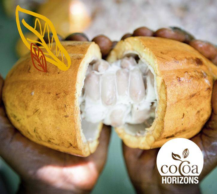 VH  Cocoa Horizons