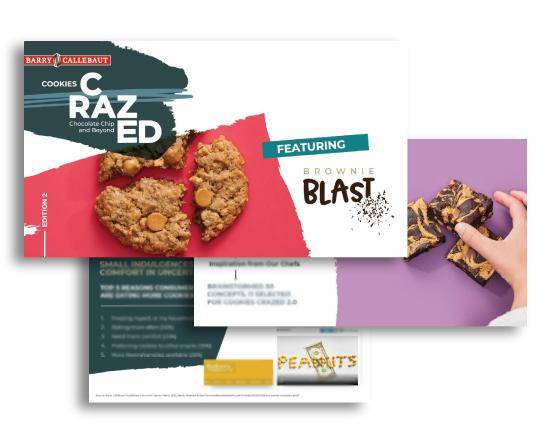 collage of brochure cover and blurred pages