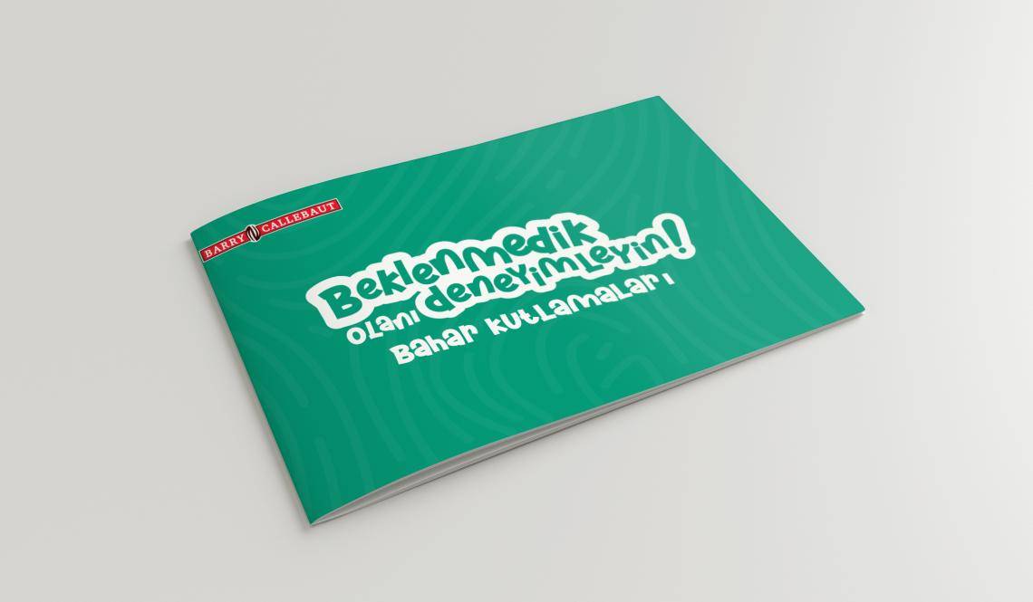 Spring Brochure TR