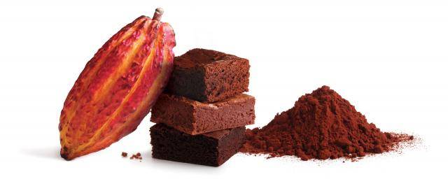 Bensdorp The finest Cocoa powders for bakery applications