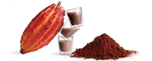 Bensdorp The finest Cocoa Powders