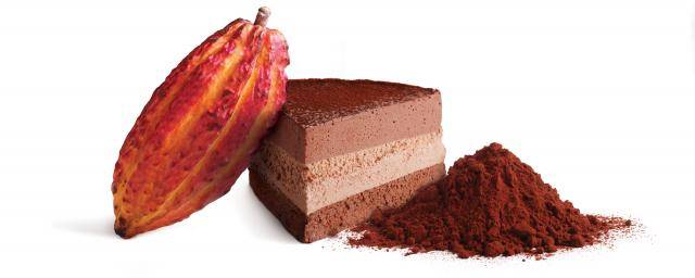 finest cocoa powders for indulgent desserts