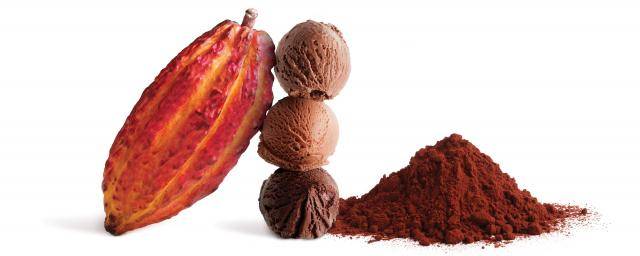 Bensdorp cocoa powders for ice cream 