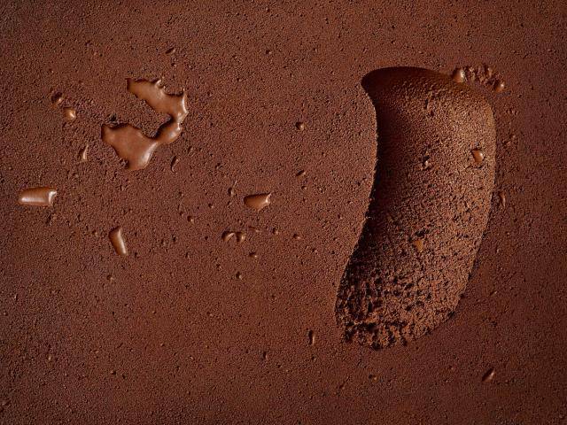 Barry Callebaut partners with the Zurich University of Applied Sciences to Explore Cocoa Cell Culture Technology