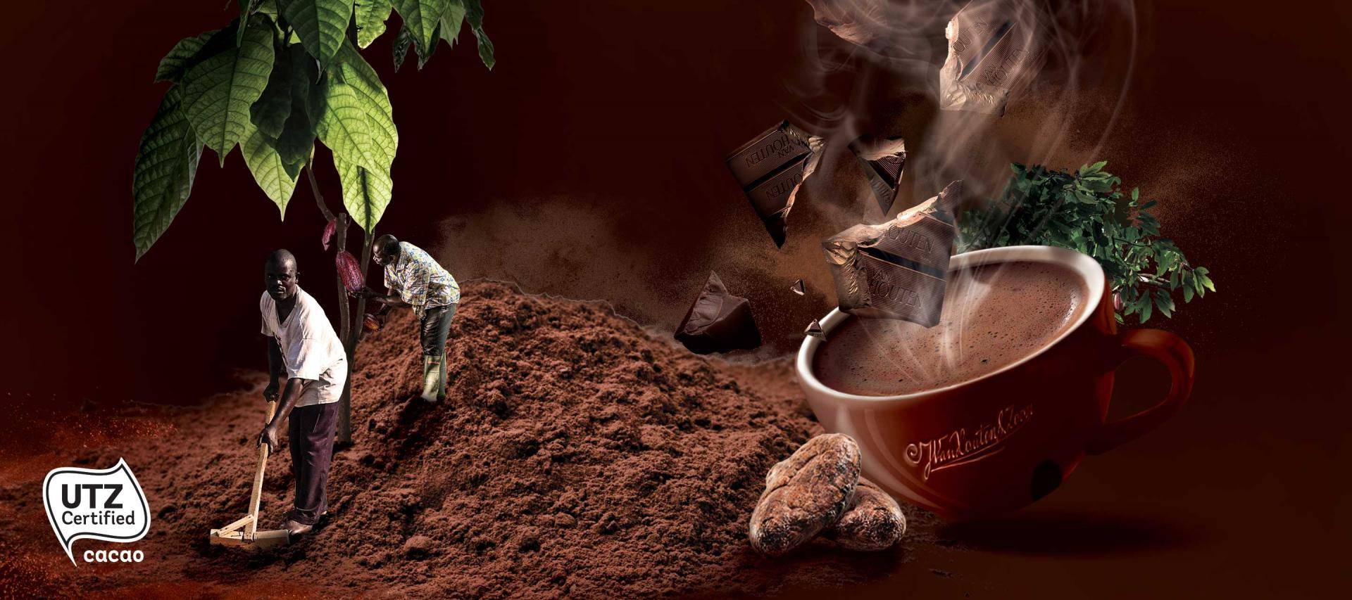 Making sustainable chocolate the norm